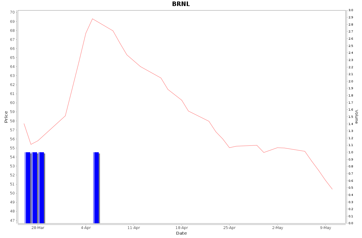BRNL Daily Price Chart NSE Today